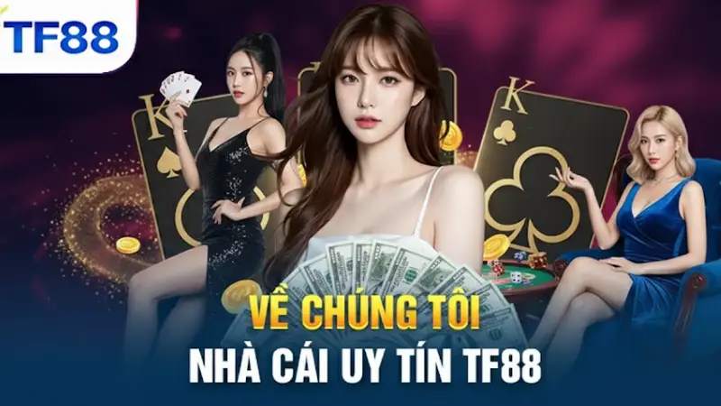Về Chúng Tôi TF88 - Nhà Cái Uy Tín Với Trải Nghiệm Đỉnh Cao - KAVIX